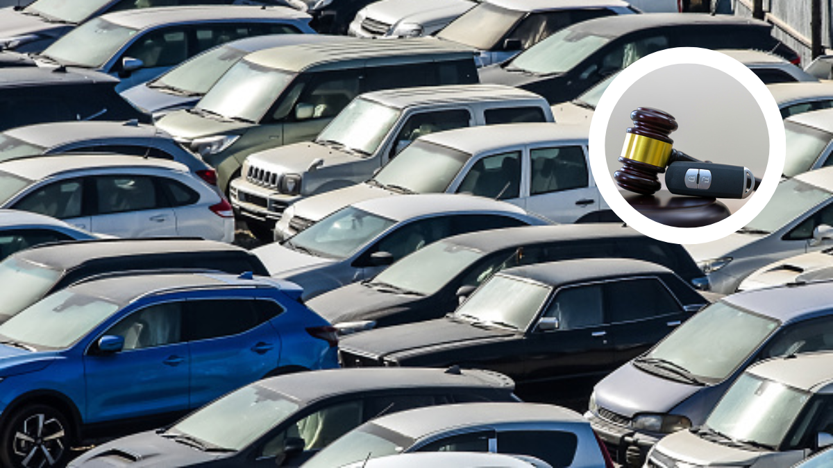 Participar en subastas ofrece grandes oportunidades?>